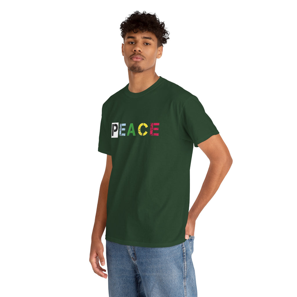 Peace Rainbow Tee — Minimalist Colorful PEACE Graphic T-Shirt