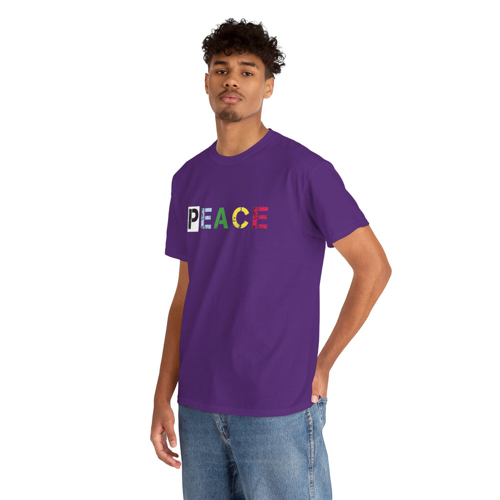 Peace Rainbow Tee — Minimalist Colorful PEACE Graphic T-Shirt